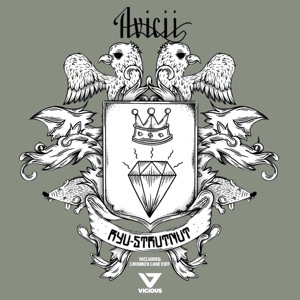 Avicii — Ryu (Laidback Luke Edit) - 0:00