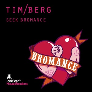 AVICII;Tim Berg — Seek Bromance