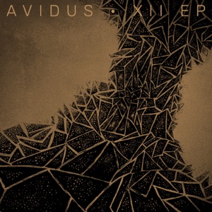 Avidus — Lux