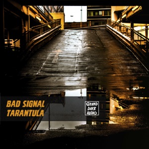 BAD SIGNAL — Tarantula
