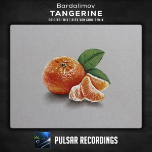 Bardalimov — Tangerine (Alex van Gray Remix)