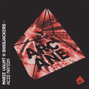 BASSJACKERS/MARIE VAUNT — Acid Nation
