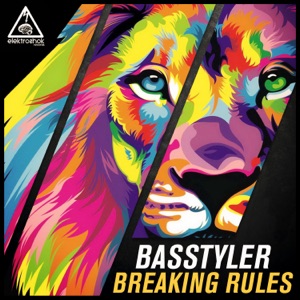 BASSTYLER — Reach Out