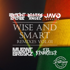 BAYMONT BROSS/DARK ANGEL/JAVO SCRATCH — Wise & Start (The Brainkiller rmx)