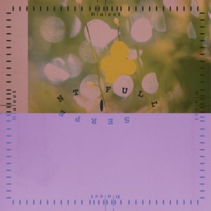 BEAT'LOW MUSIC — Dialect