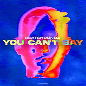 Beatshoundz — You Can't Say