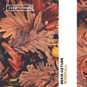 Bekir Ozturk — Windfall