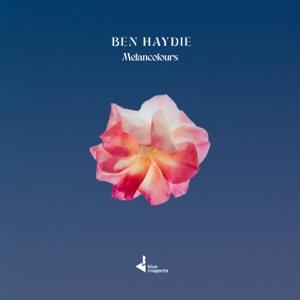 BEN HAYDIE — Light Pollution