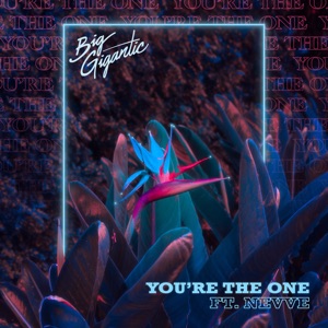 Big Gigantic feat. Nevve — You're The One - 0:00