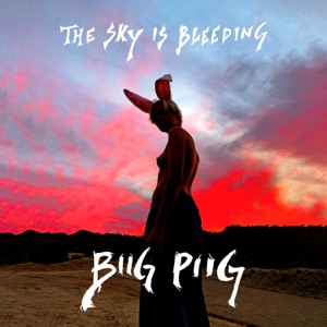 Biig Piig — FUN