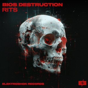 BIOS DESTRUCTION — Danse together
