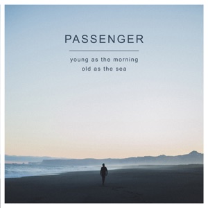 Birdy & Passenger — Beautiful Birds