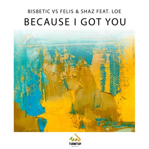 Bisbetic vs. Felis & Shaz feat. Loe — Because I Got You - 0:00