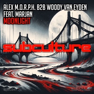 Bissen ft. Victoria Jane — Melting (Alex M.O.R.P.H. B2B Woody Van Eyden RMX)