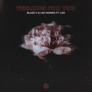 Blaze U & Lee Morris feat. Leo — Feelings For You - 0:00