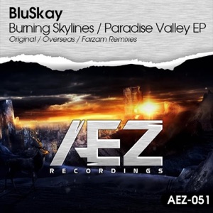 bluskay — paradise valley (overseas remix)