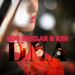 Bob Sinclar feat. Kee — D.N.A