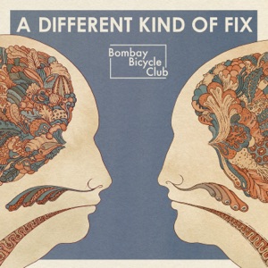 Bombay Bicycle Club — Lights Out, Words Gone