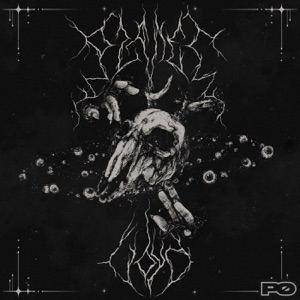 BOMMER/SUBFILTRONIK — Planet Voyd (SVDDEN DEATH rmx)