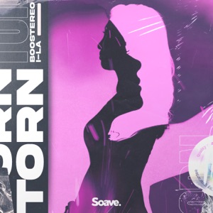 Boostereo feat. I-La — Torn