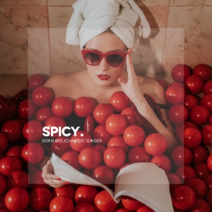 Ginger, Boris Brejcha — Spicy feat. Ginger (Original Mix)