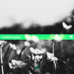 BOXPLOT — Constant Spring