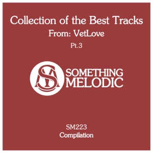 Braccini — Come From The Past (VetLove Remix)