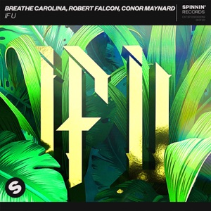Breathe Carolina & Robert Falcon feat. Conor Maynard — IF U - 0:00