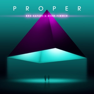 BRO SAFARI/DION TIMMER — Proper