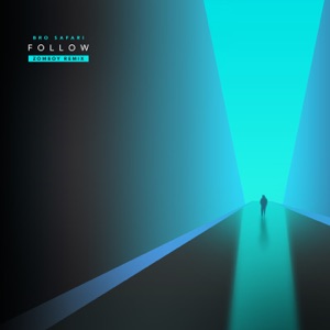 BRO SAFARI/ZOMBOY — Follow