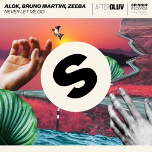 Alok , Bruno Martini , Zeeba — Never Let Me Go