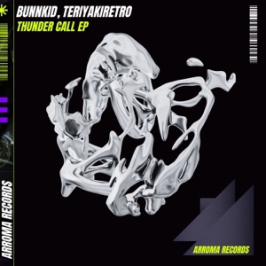 Bunnkid & TERIYAKIRETRO — Night Call