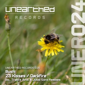 Bushi — 23 Kisses (Jussi Soro Remix)