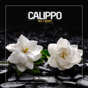 CALIPPO — All I Want!