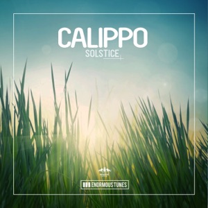 CALIPPO — Solstice
