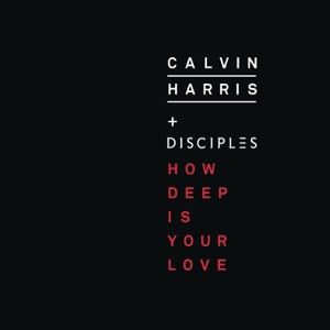 Calvin Harris & Disciples — How Deep Is Your Love (Liva K Remix)