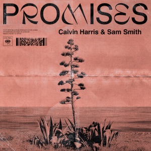 Calvin Harris  & Sam Smith — Promises