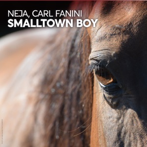 Neja / Fanini, Carl — Smalltown Boy
