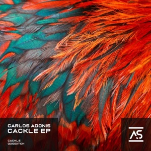 Carlos Adonis — Quidditch