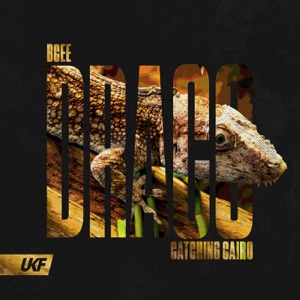 BCee, Catching Cairo — Draco