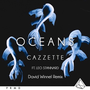 Cazzette feat. Leo Stannard — Oceans (Dave Winnel Remix) - 0:00