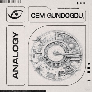 Cem Gundogdu — Analogy
