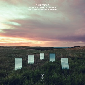 Lane 8, Channy Leaneagh — Survive feat. Channy Leaneagh (Sultan + Shepard Remix)