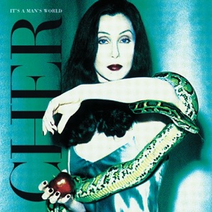 Cher — Walking In Memphis