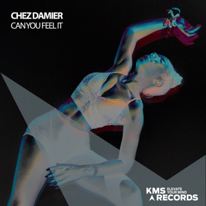Chez Damier — Can You Feel It (Mixed) (New York Dub)