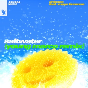 Chicane Ft. Moya Brennan — Saltwater (Young Marco Remix)