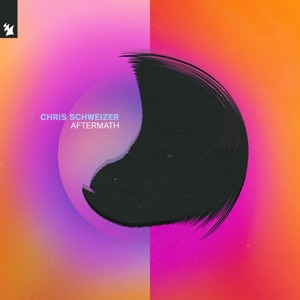 Chris Schweizer — Aftermath