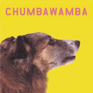 CHUMBAWAMBA — She's Got All The Friends