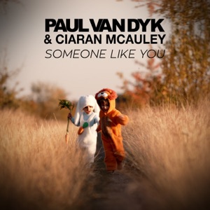 Paul van Dyk, Ciaran McAuley — Someone You Like (Original Mix)