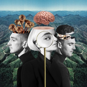 Clean Bandit & Zara Larsson — Symphony
